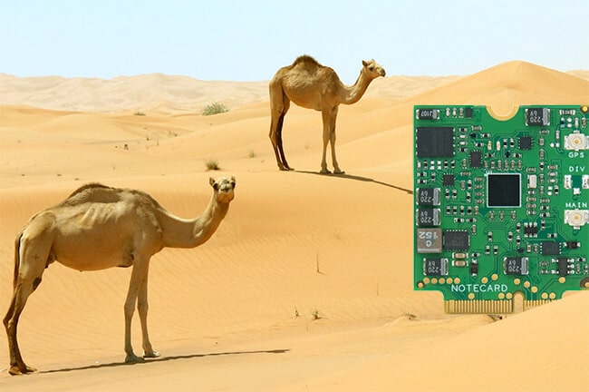 blues wireless notecard in the desert