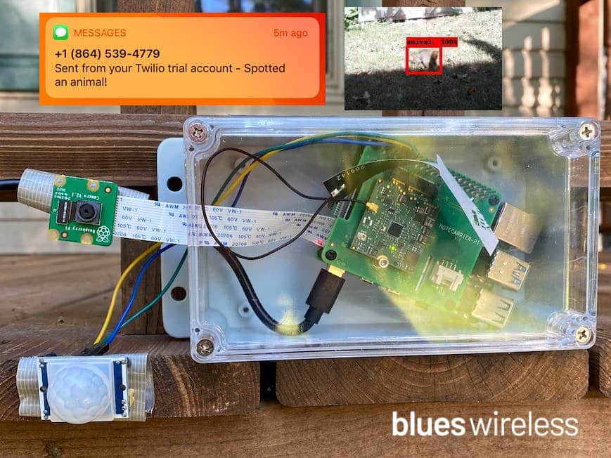 Raspberry Pi pest detector